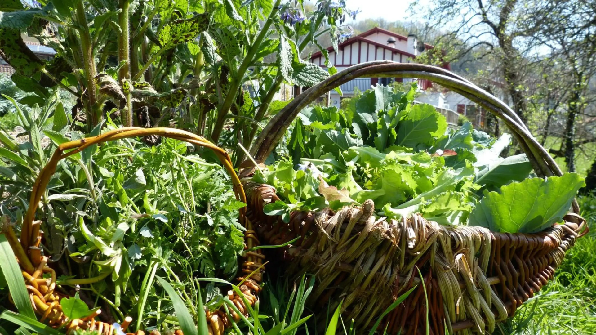 Logis Hotel Xoko-Goxoa