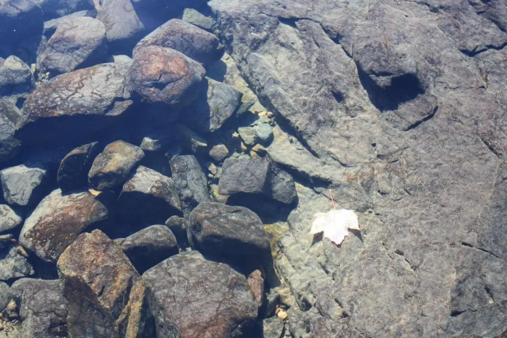 Carolyn Beach Inn & Restaurant