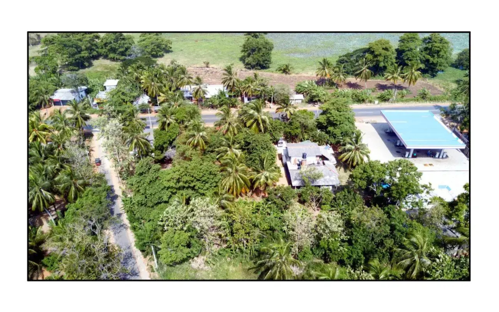 Sun and Green Eco Lodge