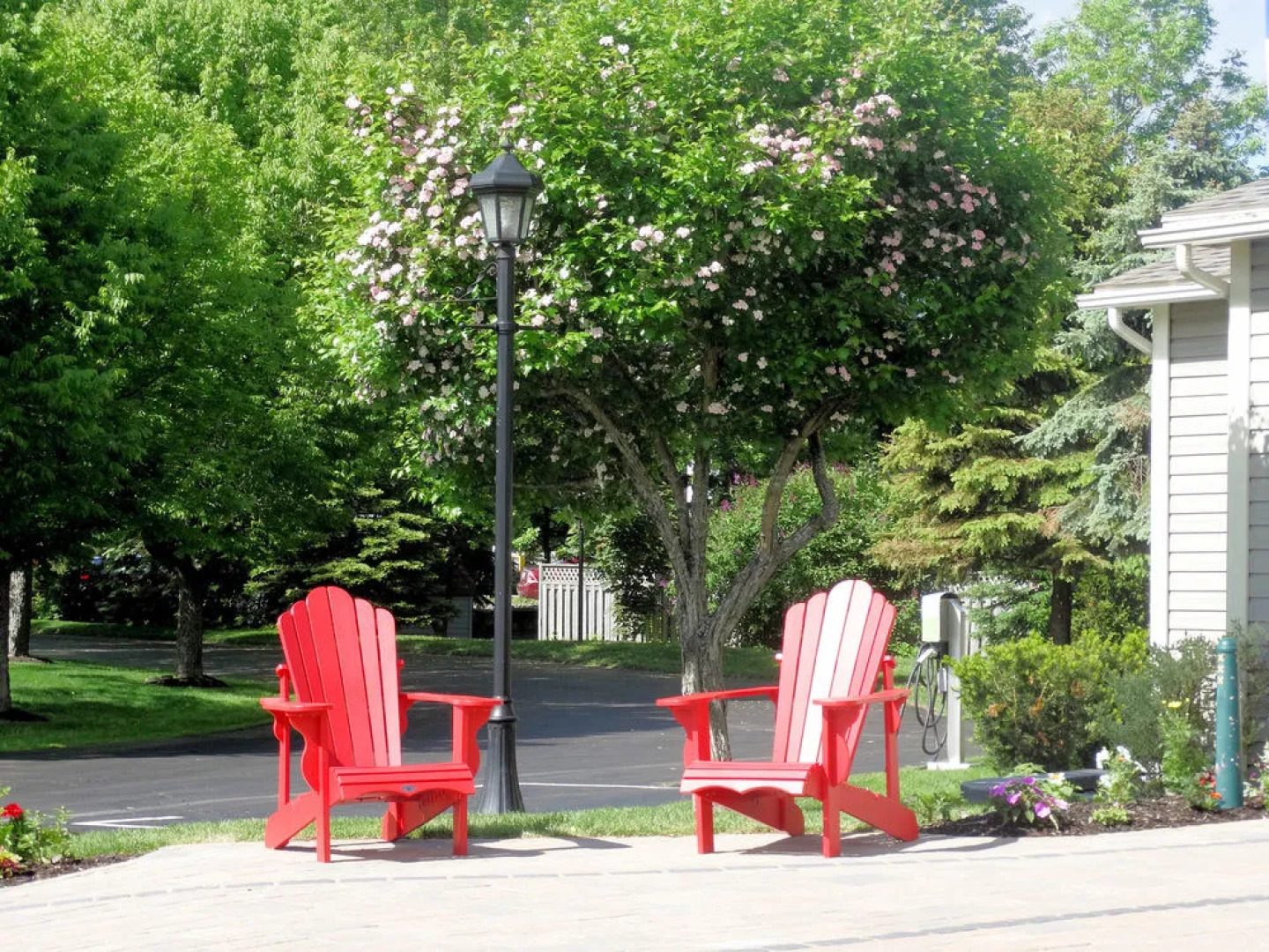 Amsterdam Inn Sussex