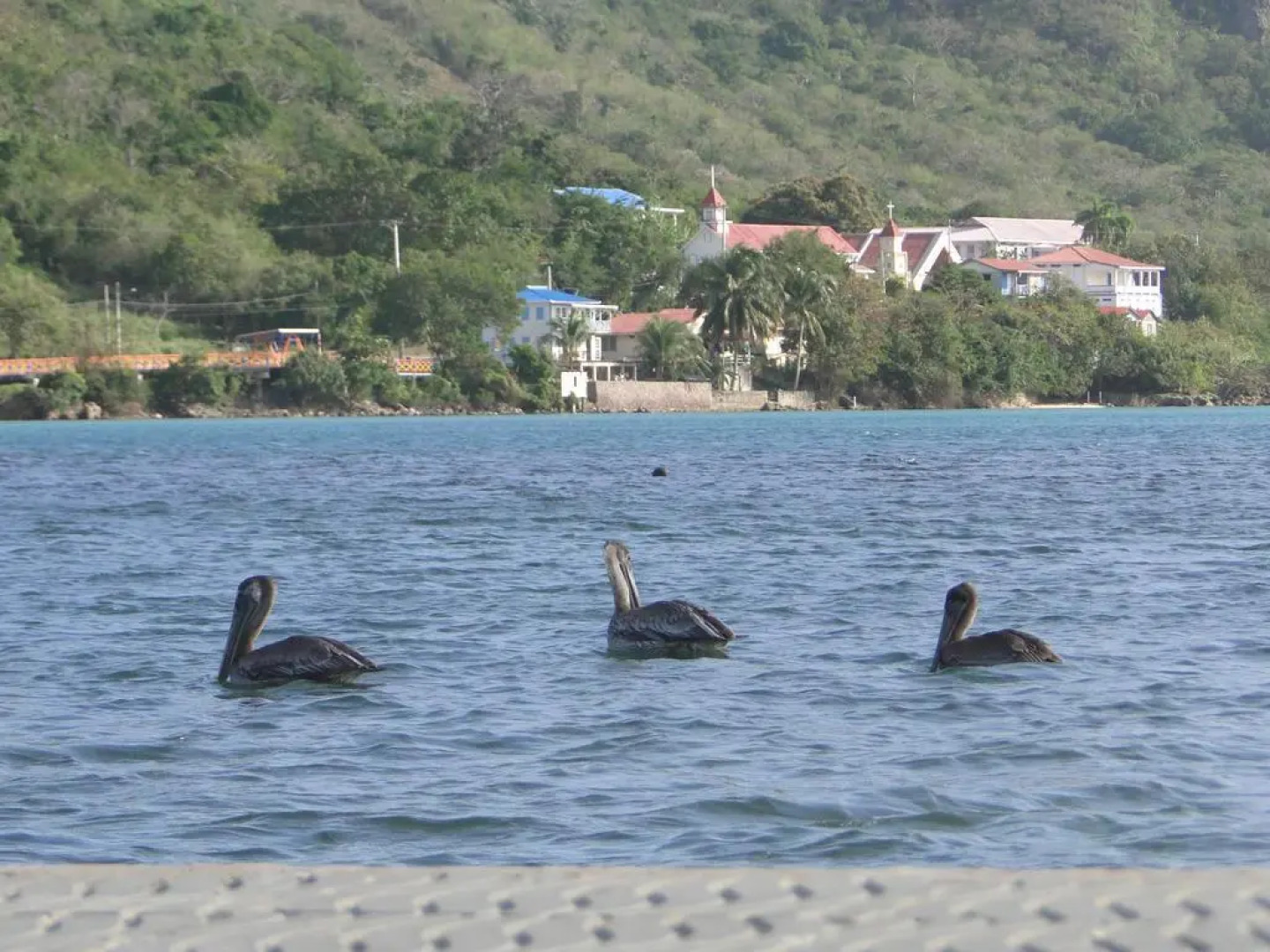 Posada Sunshine Paradise