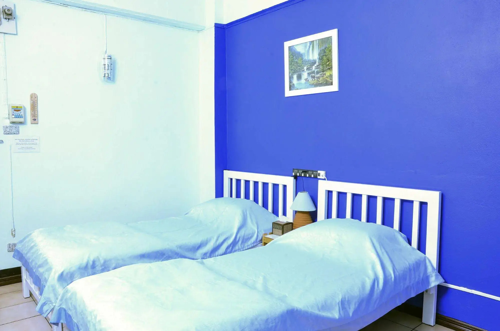 The Backpacker Station