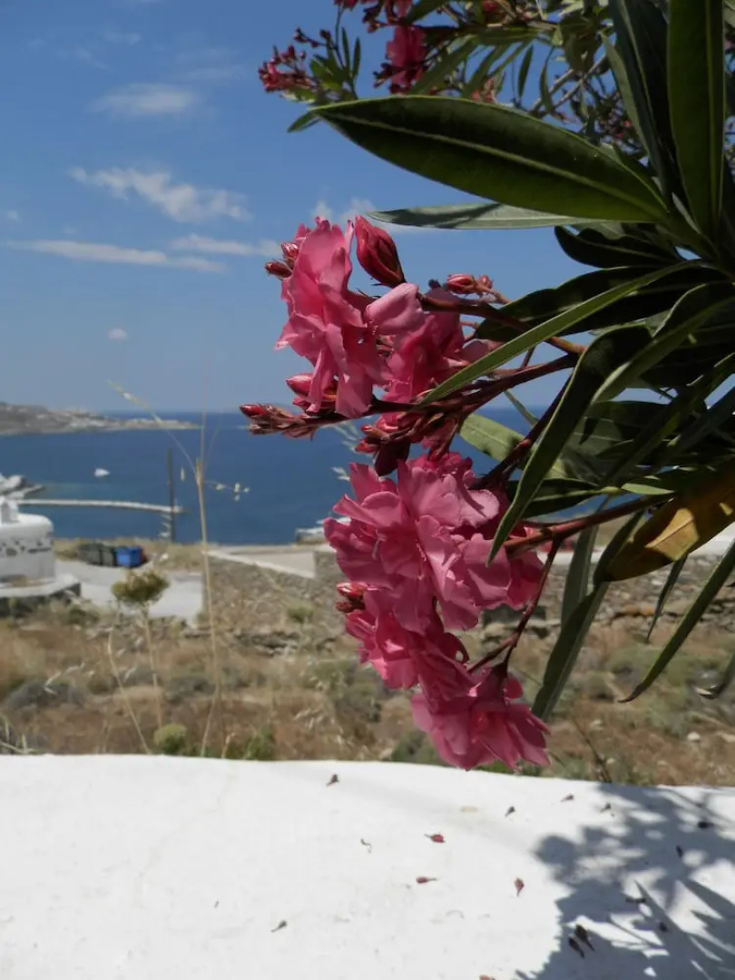 Maroulinas Boutique Studios & Apartments