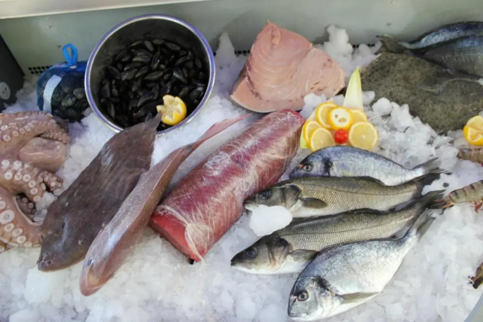 Hotel Central Da Mario