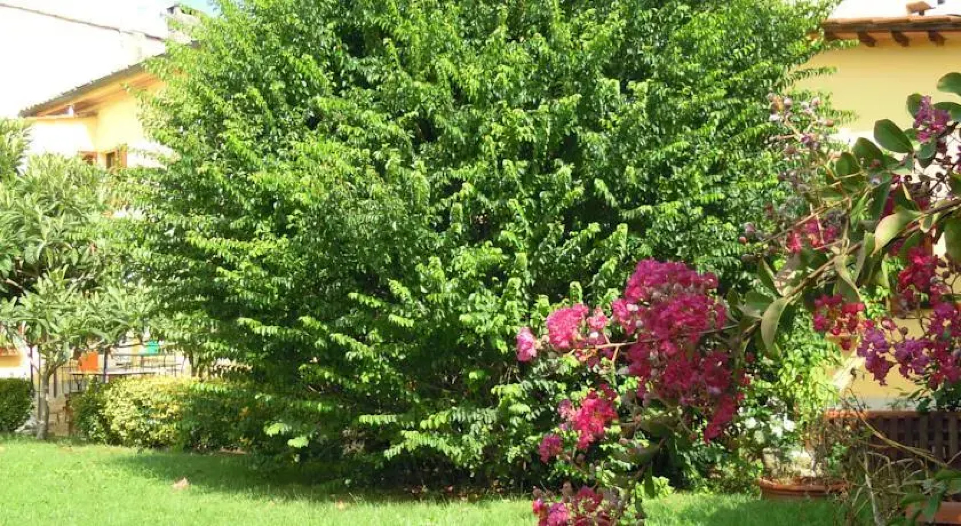 Casa Antonella Petit Relais