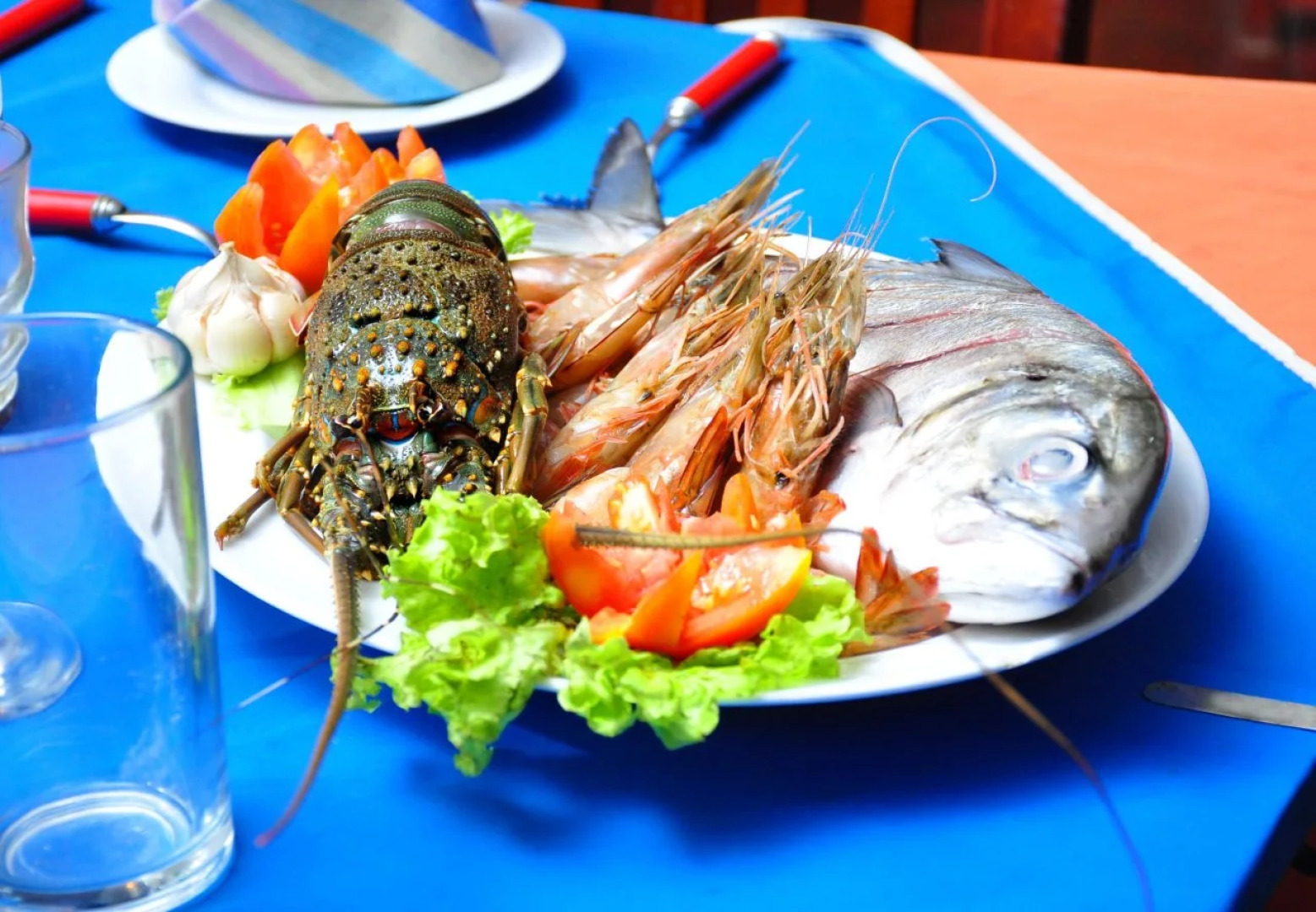 Vista Rooms Induruwa Beach