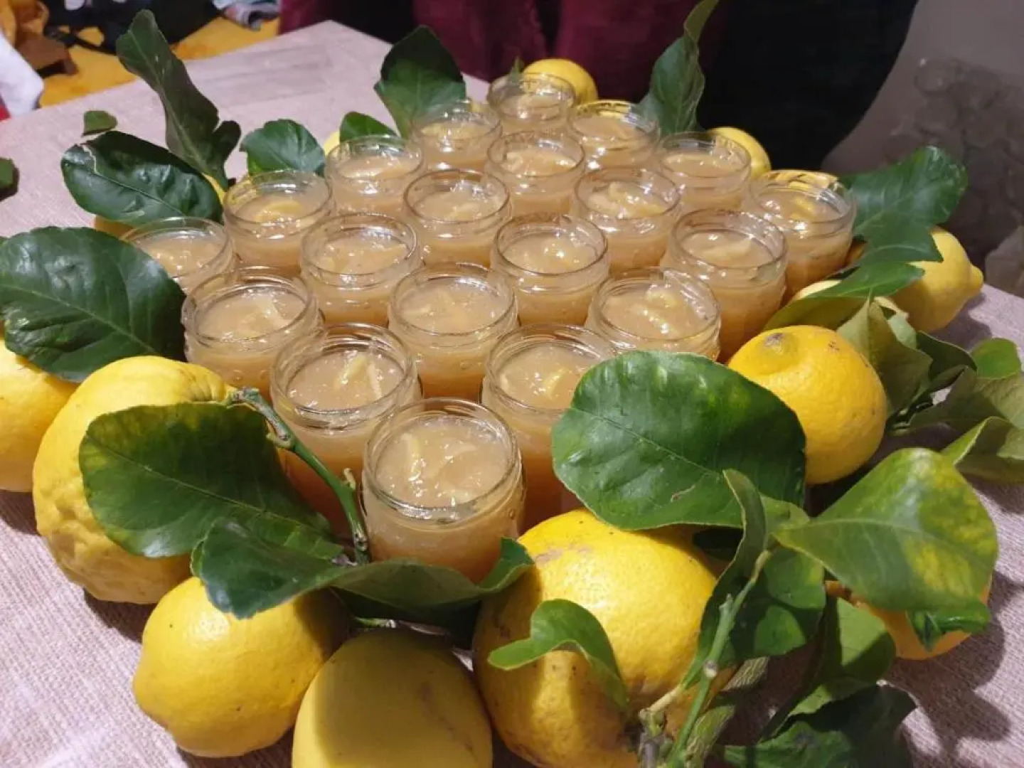 Agriturismo La Collina Verde