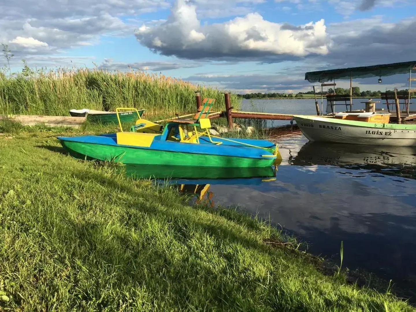 Vigio Brasta camping