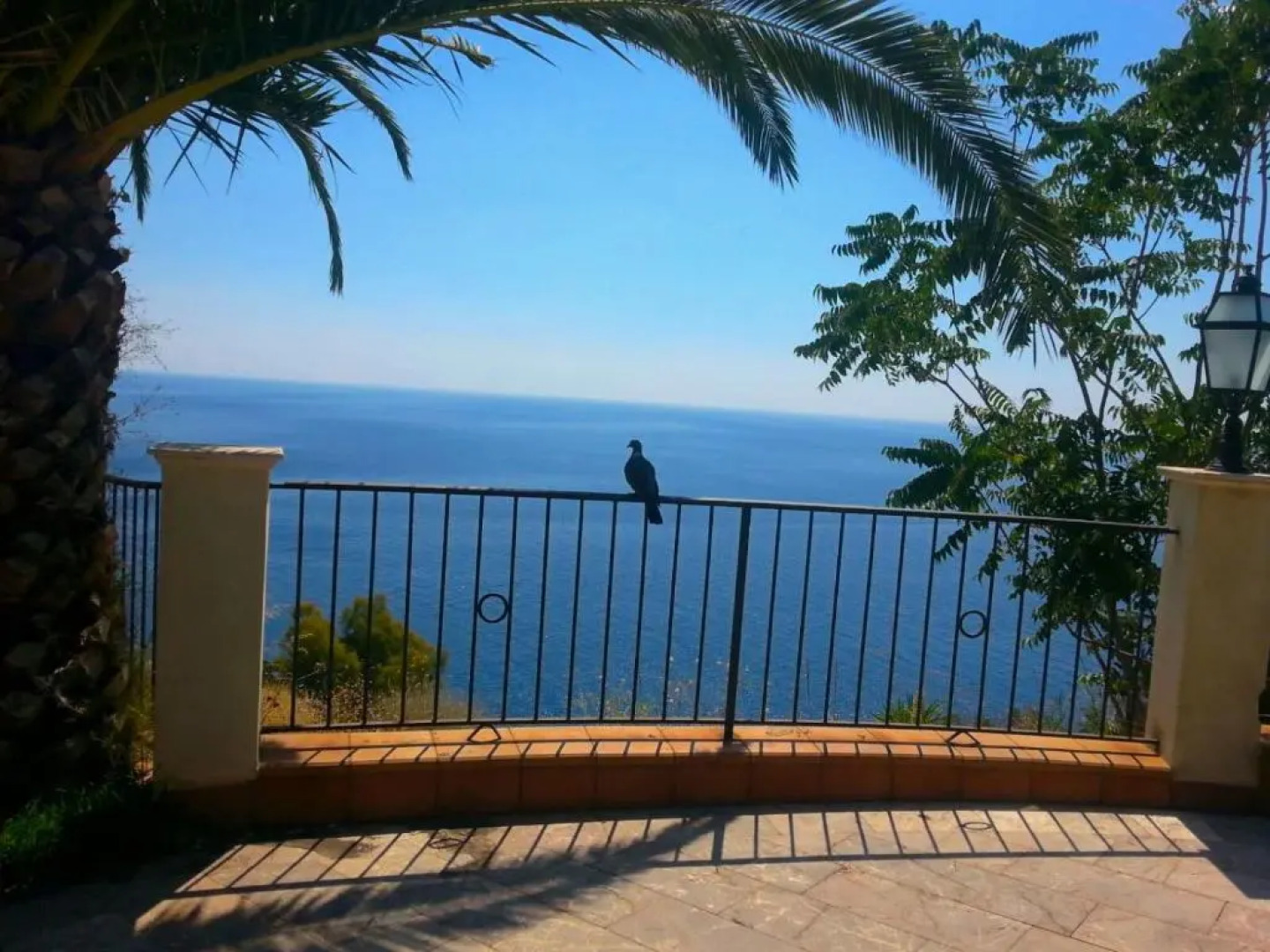 La casa del Belvedere