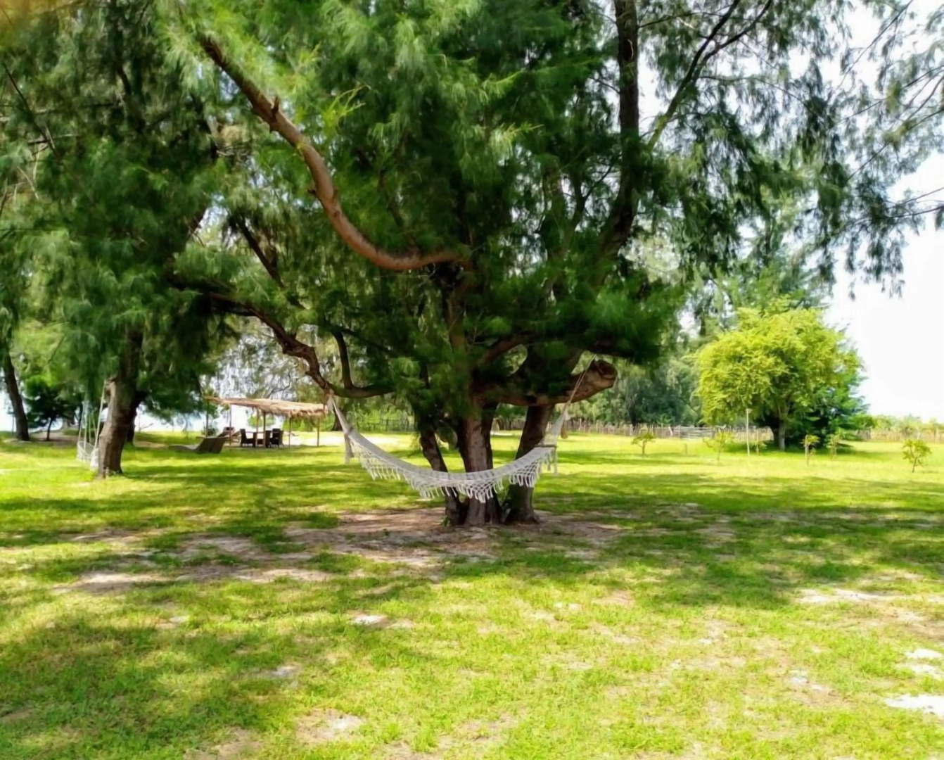 Eco Resort Sumba Dream