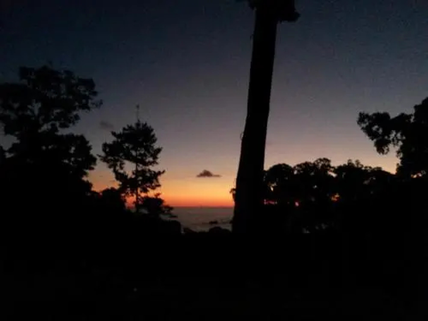 Mar y Selva Ecolodge