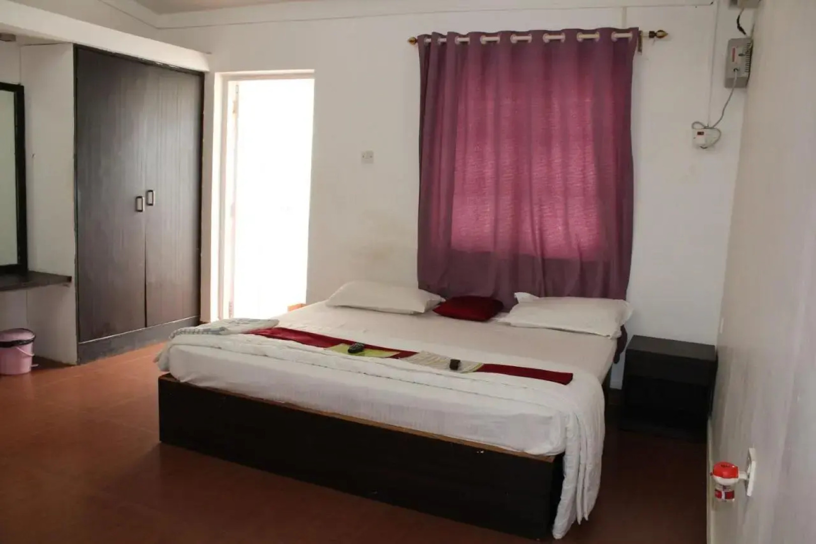 Macedo Palms Lemonmint