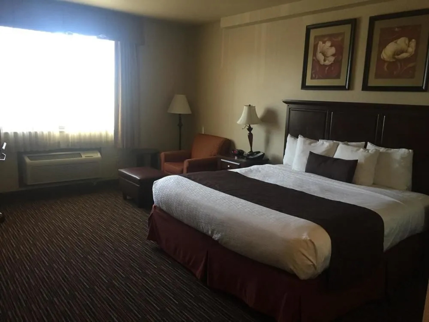 Radisson Hotel River Falls