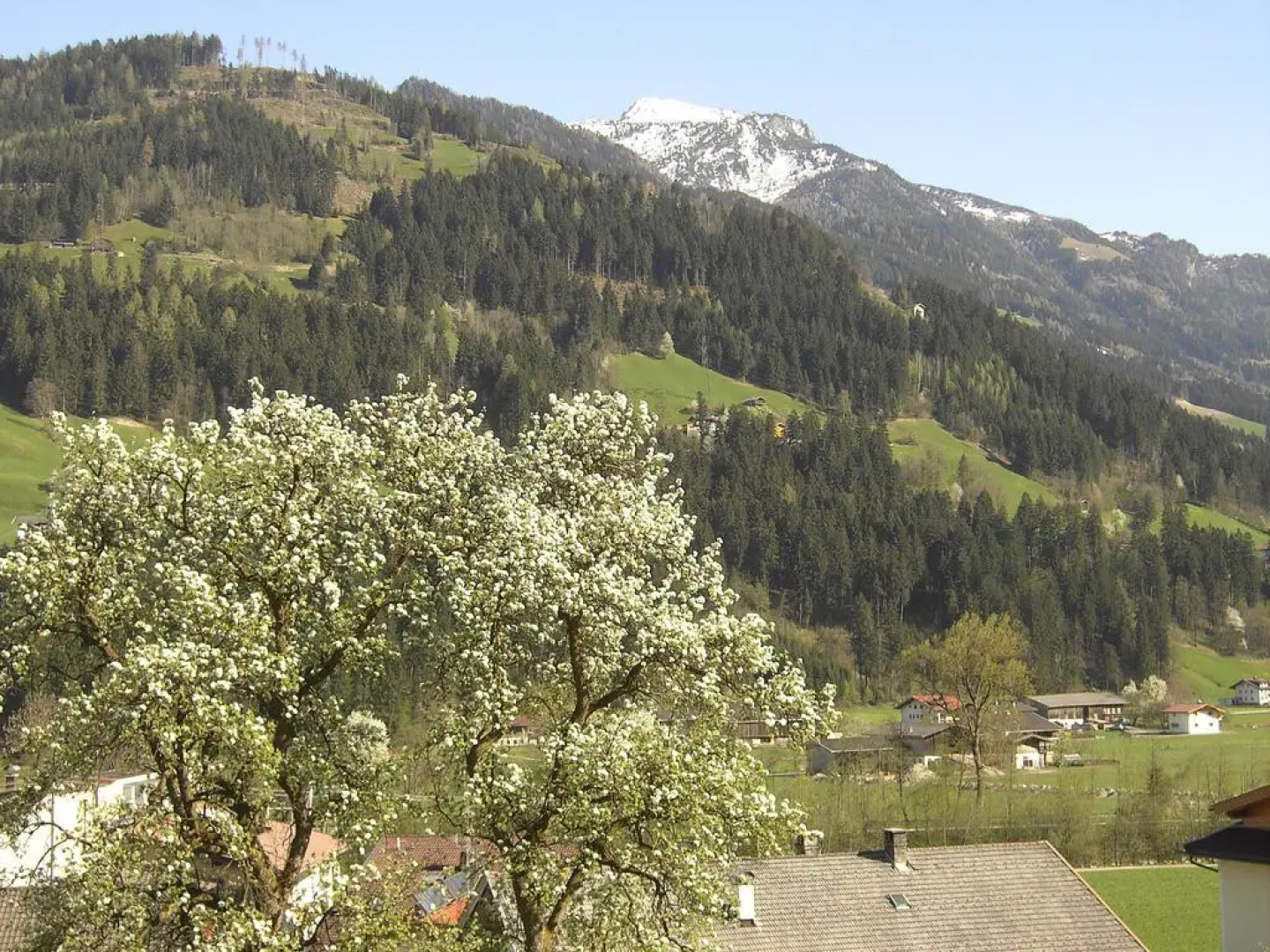 Hundsbichler Zillertal