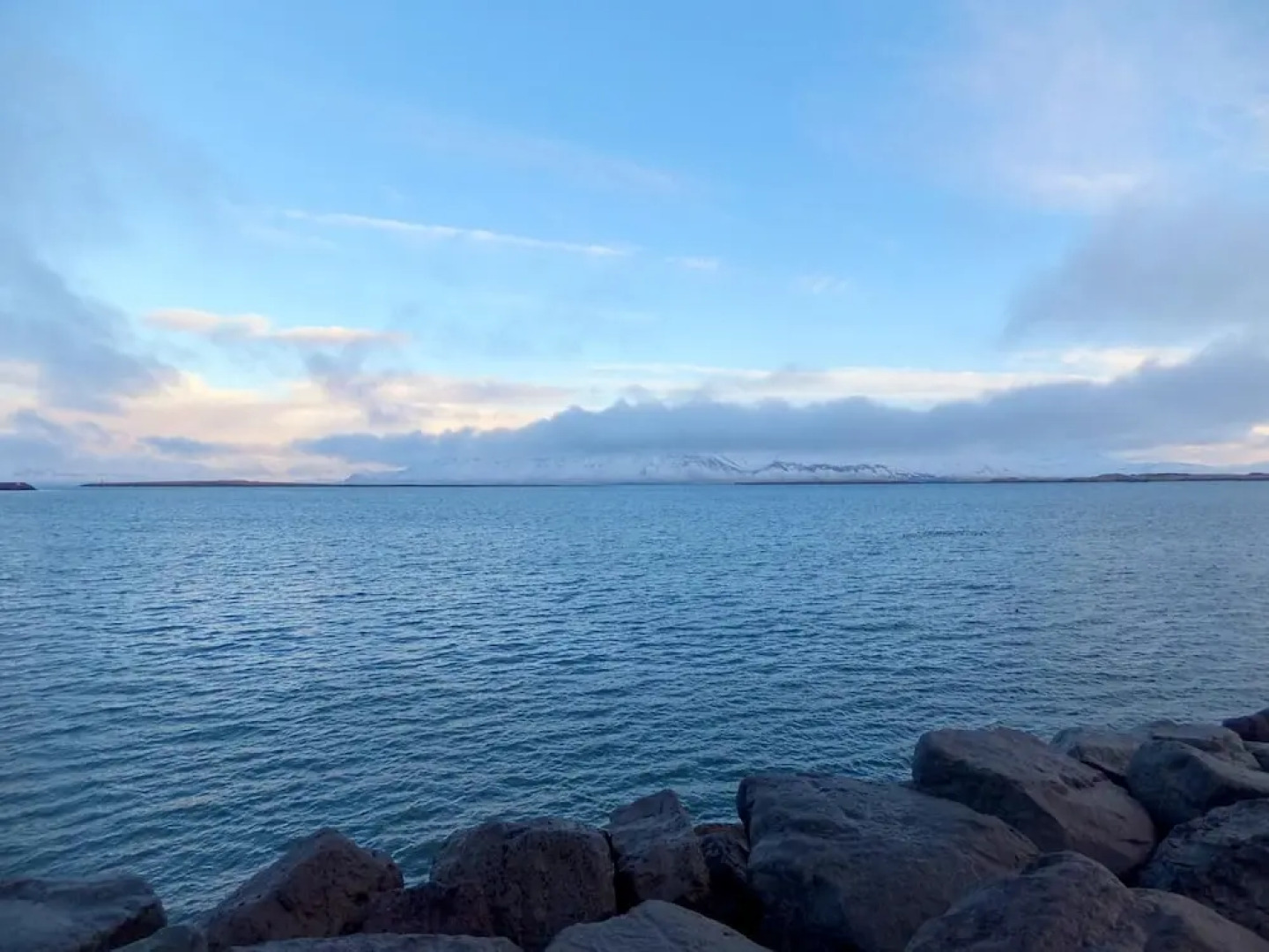 Scandinavian Apartments