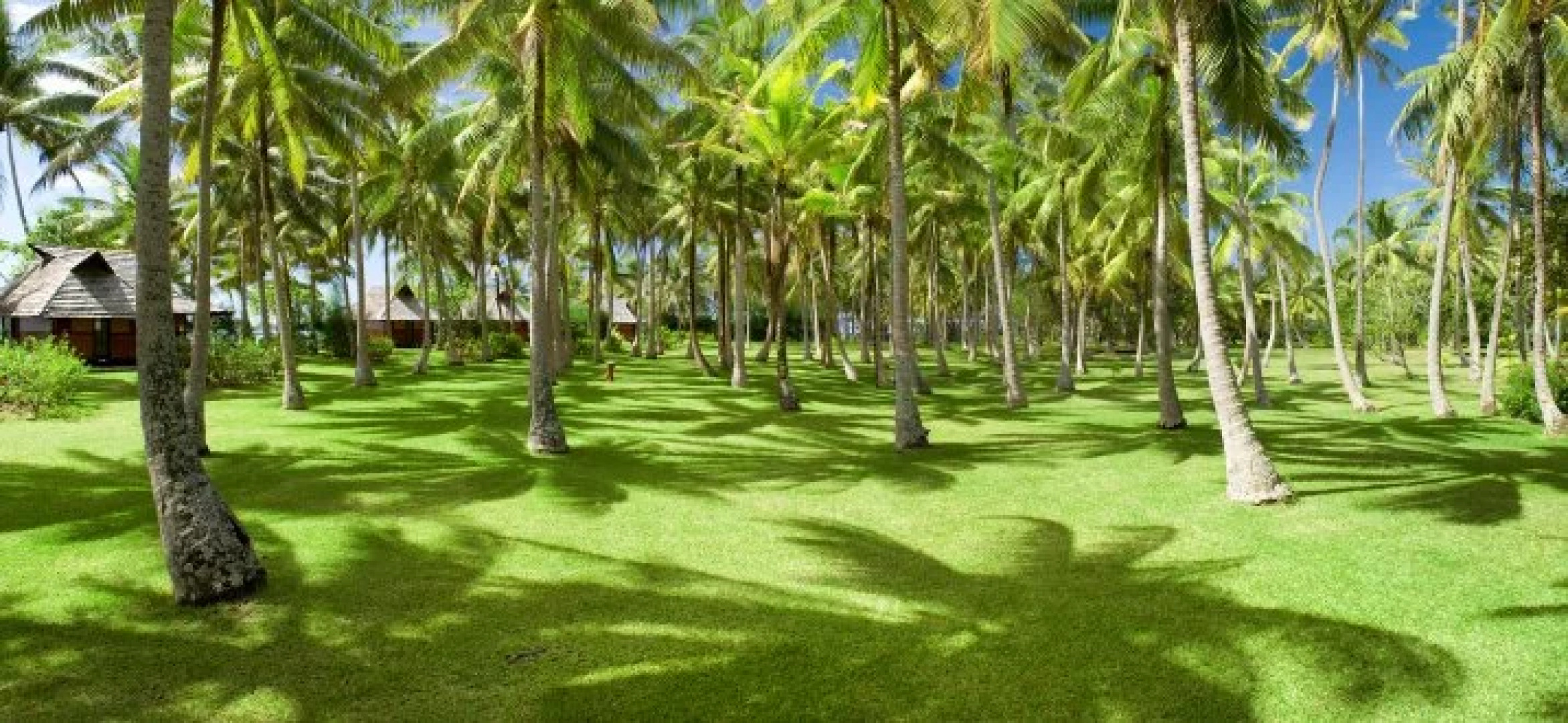 Vahine Island Resort