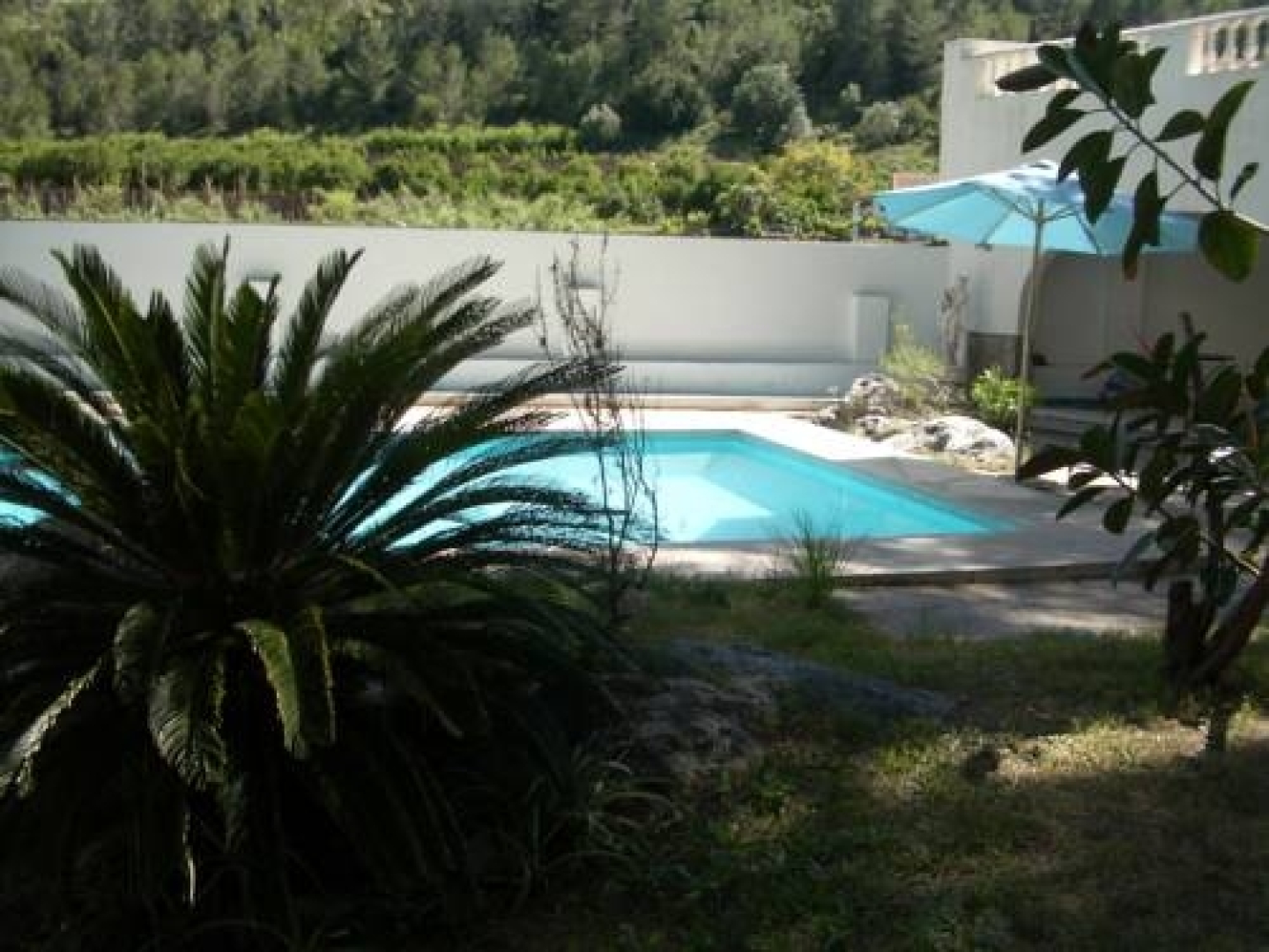 Finca Los Pinos Rural Hotel