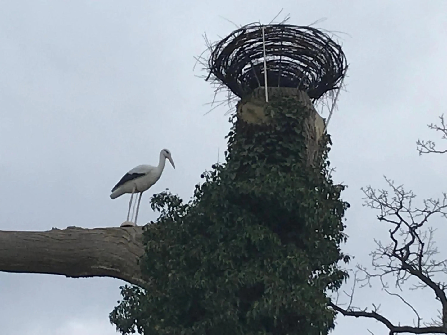 Raben Steinfeld Forststraße 3 Residenzpark