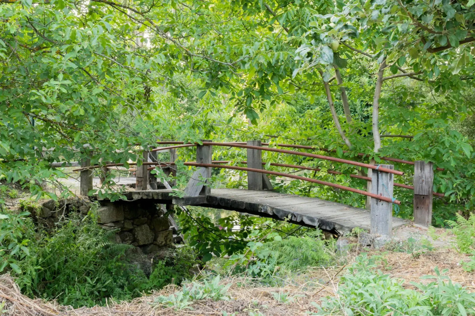 Aparthotel Quinta do Crestelo