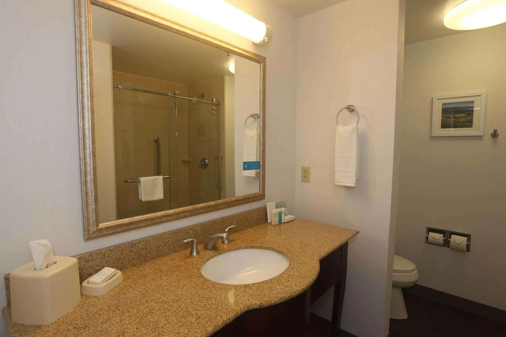 Hampton Inn Owego
