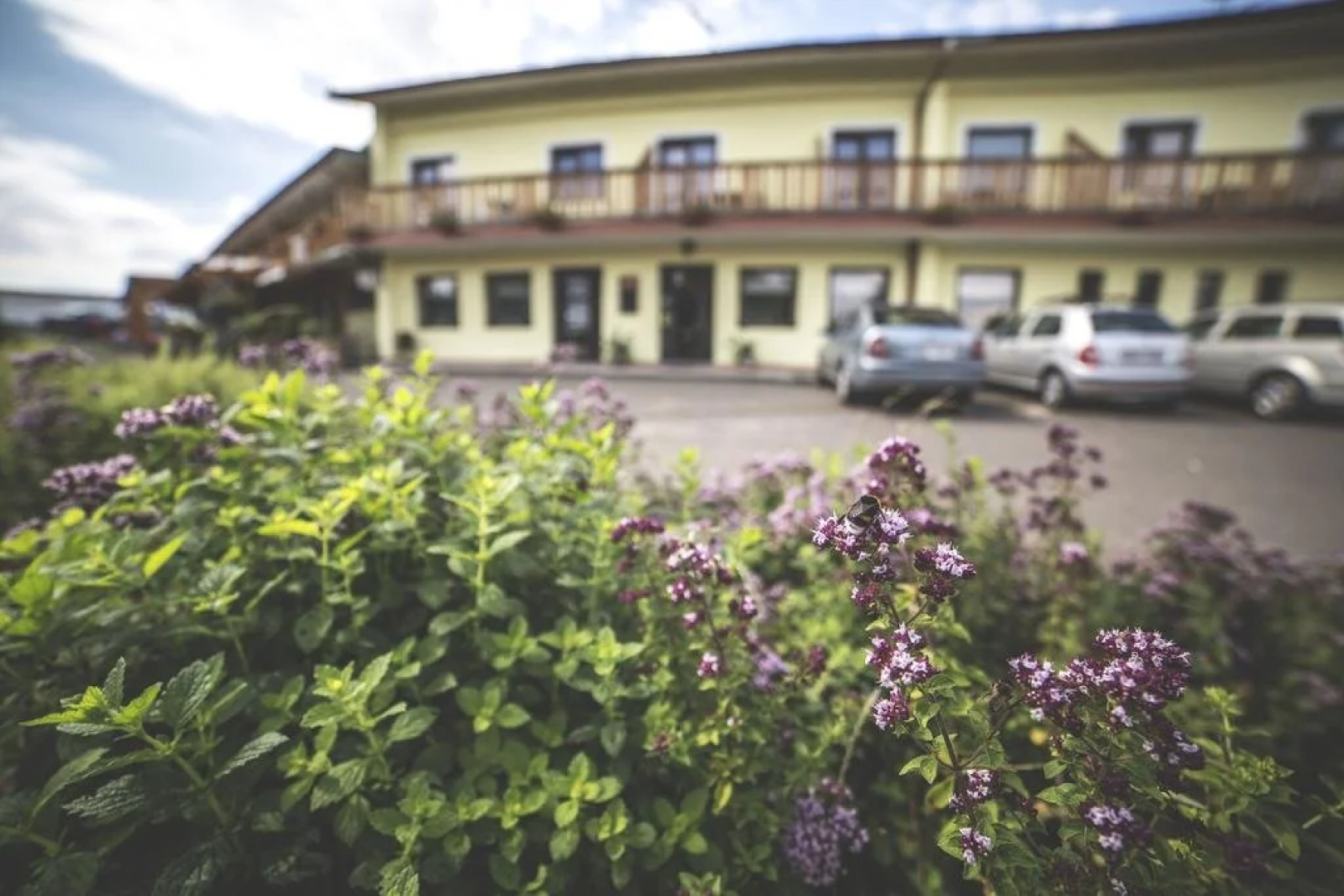 Hotel Racek