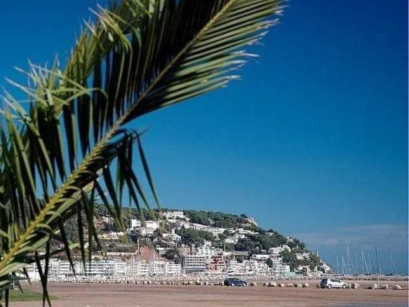 Apartamentos Estartit Costa