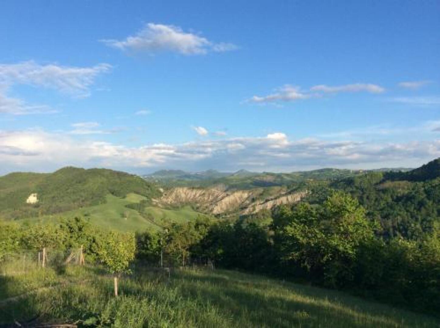 Podere Cristina B&B Villa Rossana