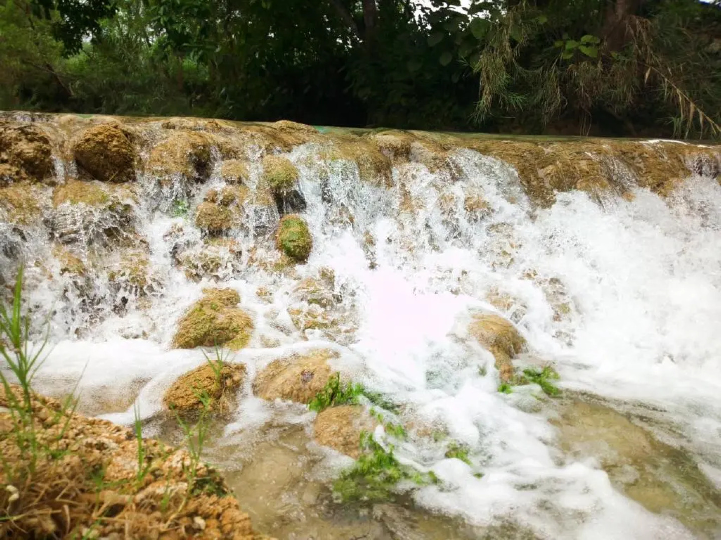 cabins sierraverde huasteca potosina "cabaña la ceiba"