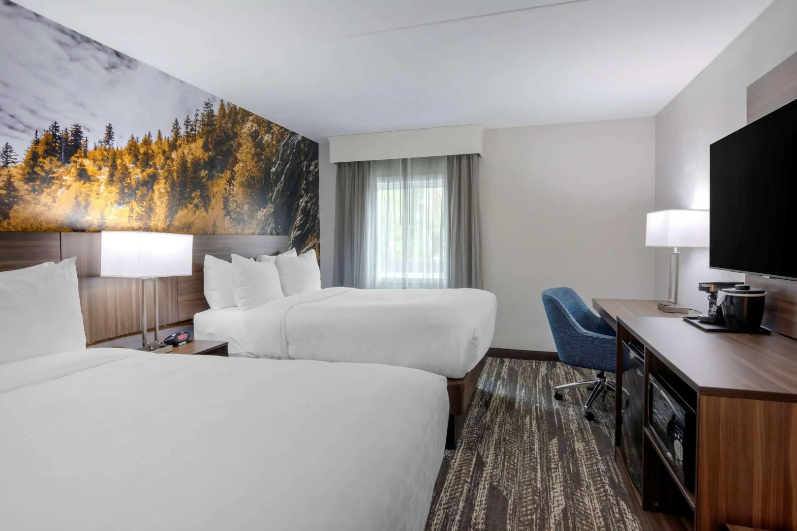 Comfort Inn University