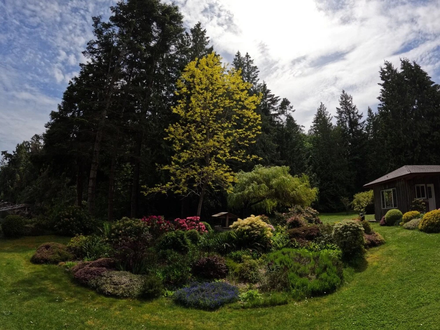 Sea La Vie Rare Peaceful Hidden Gem