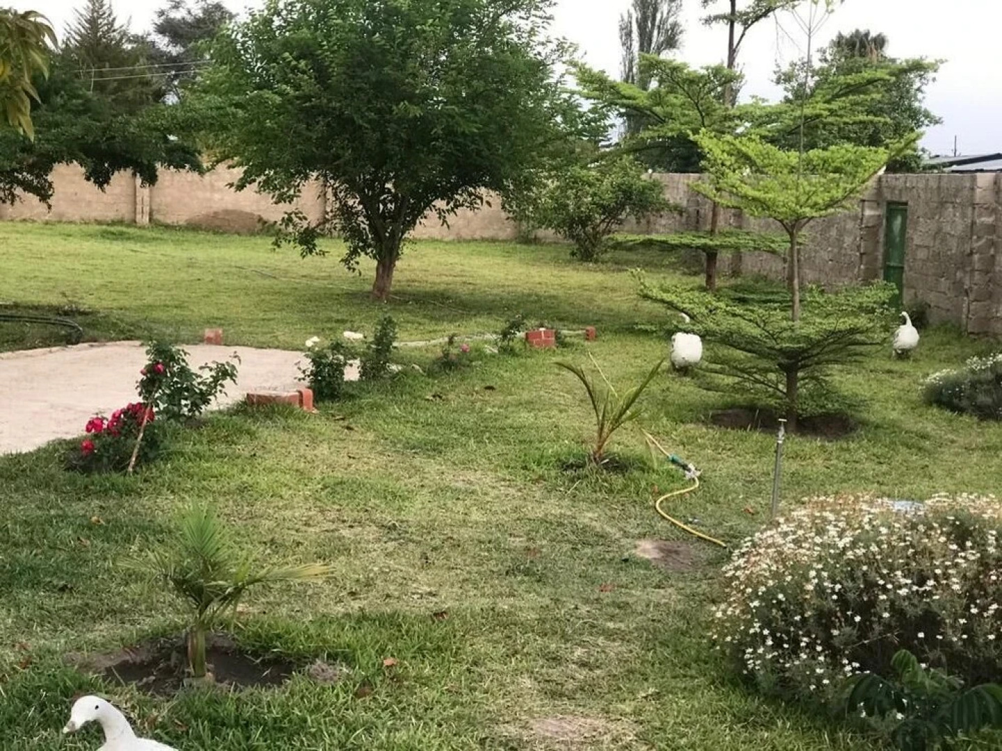 Kavango Dachils Lodges Ext2