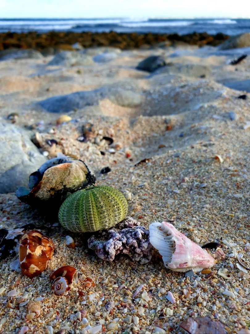 Spring Tide on 28 Main Struisbaai