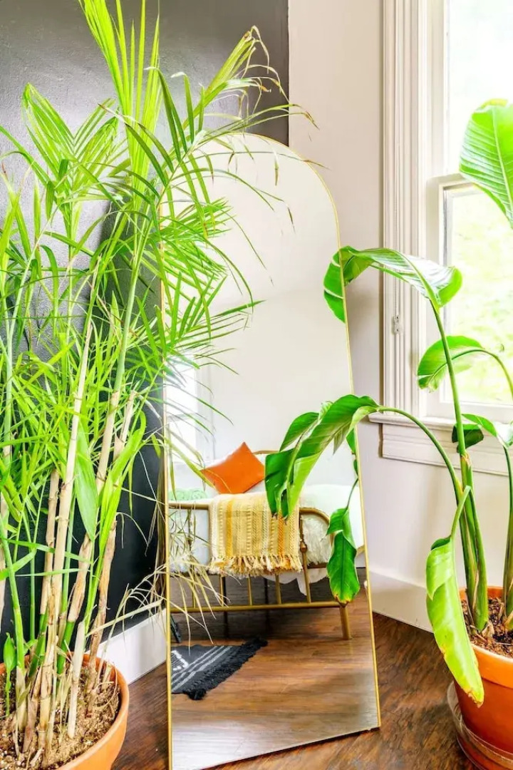 Prime Location Top Rated Clean Parking Free