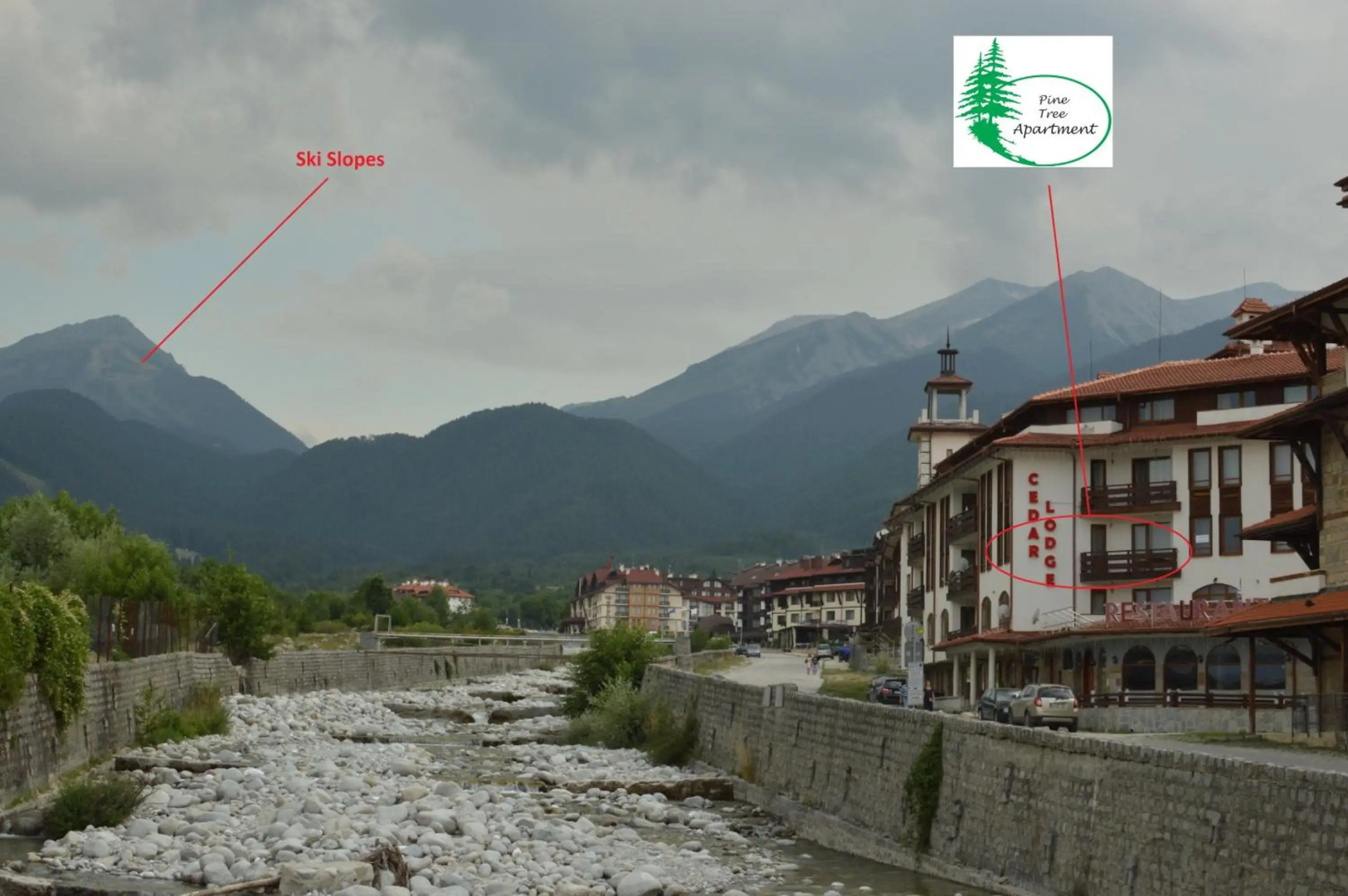 Pine Tree Apartment D34