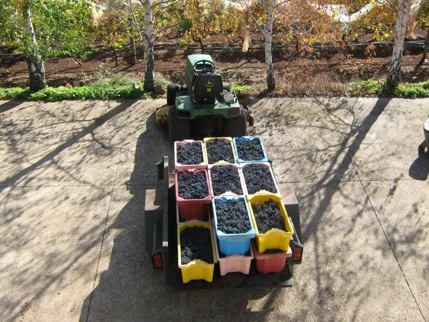 Waybourne Vineyard & Winery