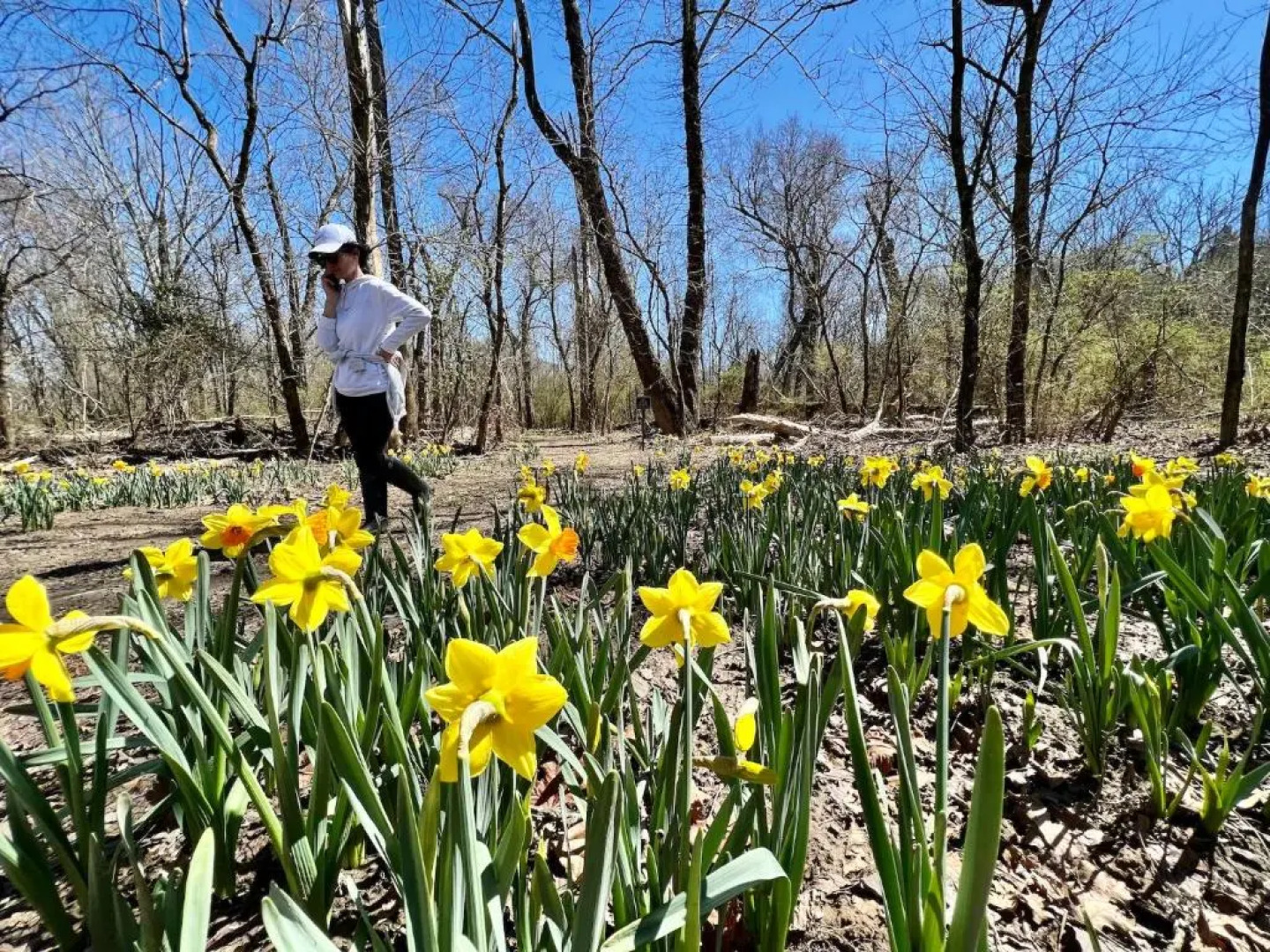 SKYLARANNA Resort & Spa