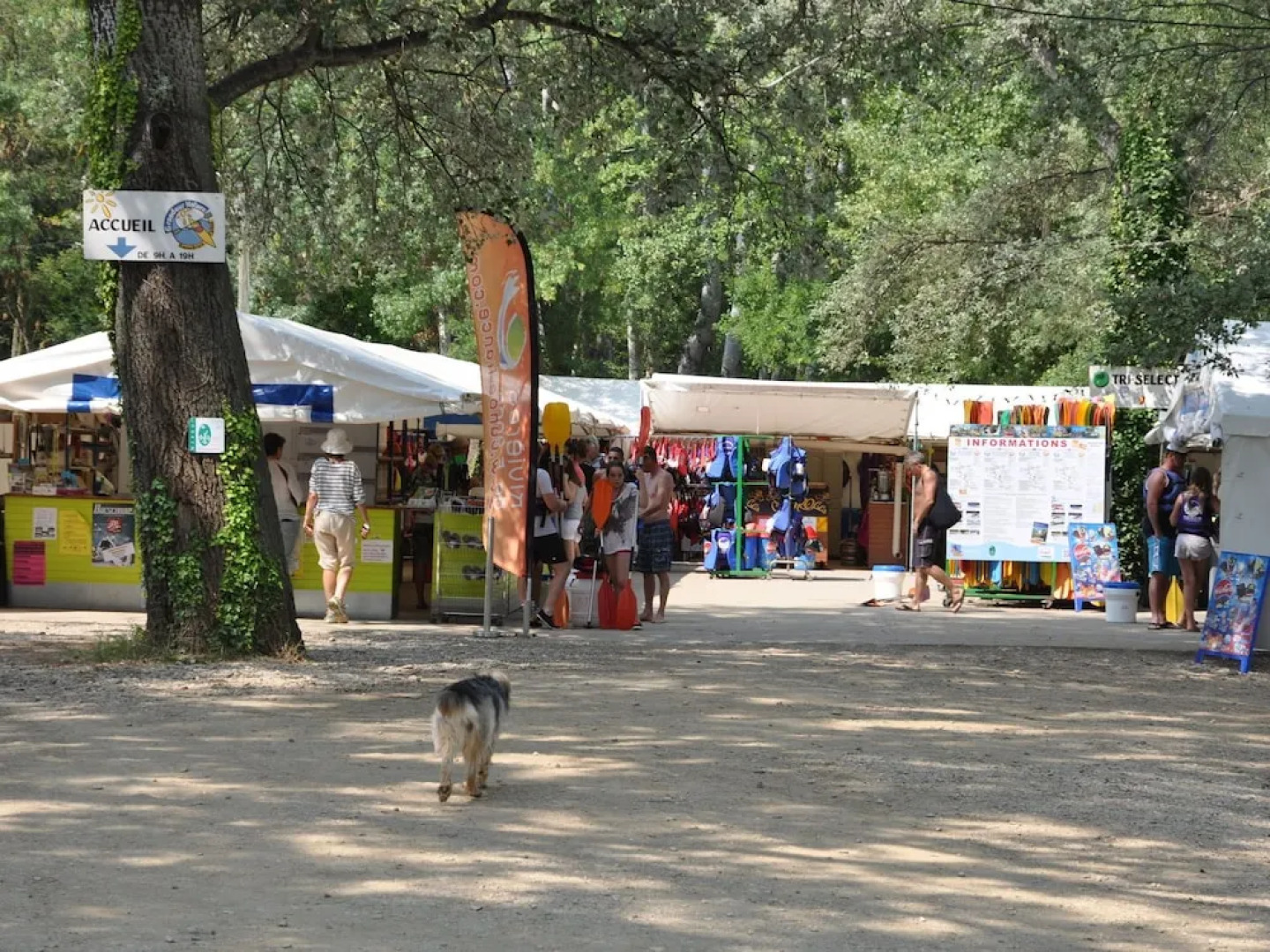 Cozy Villa in Saint-Victor-de-Malcap with Swimming Pool