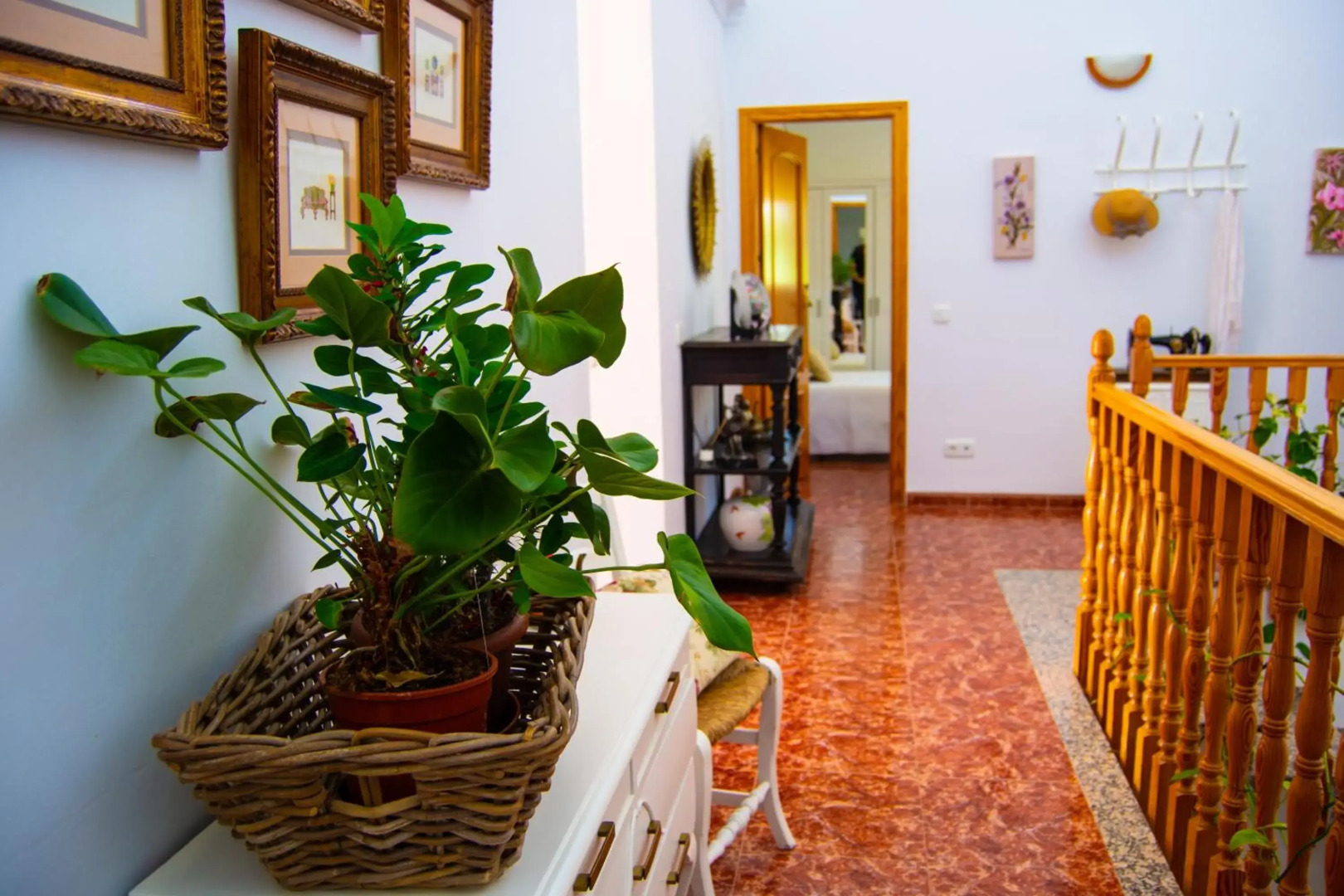 Alojamiento Rural Las Acacias