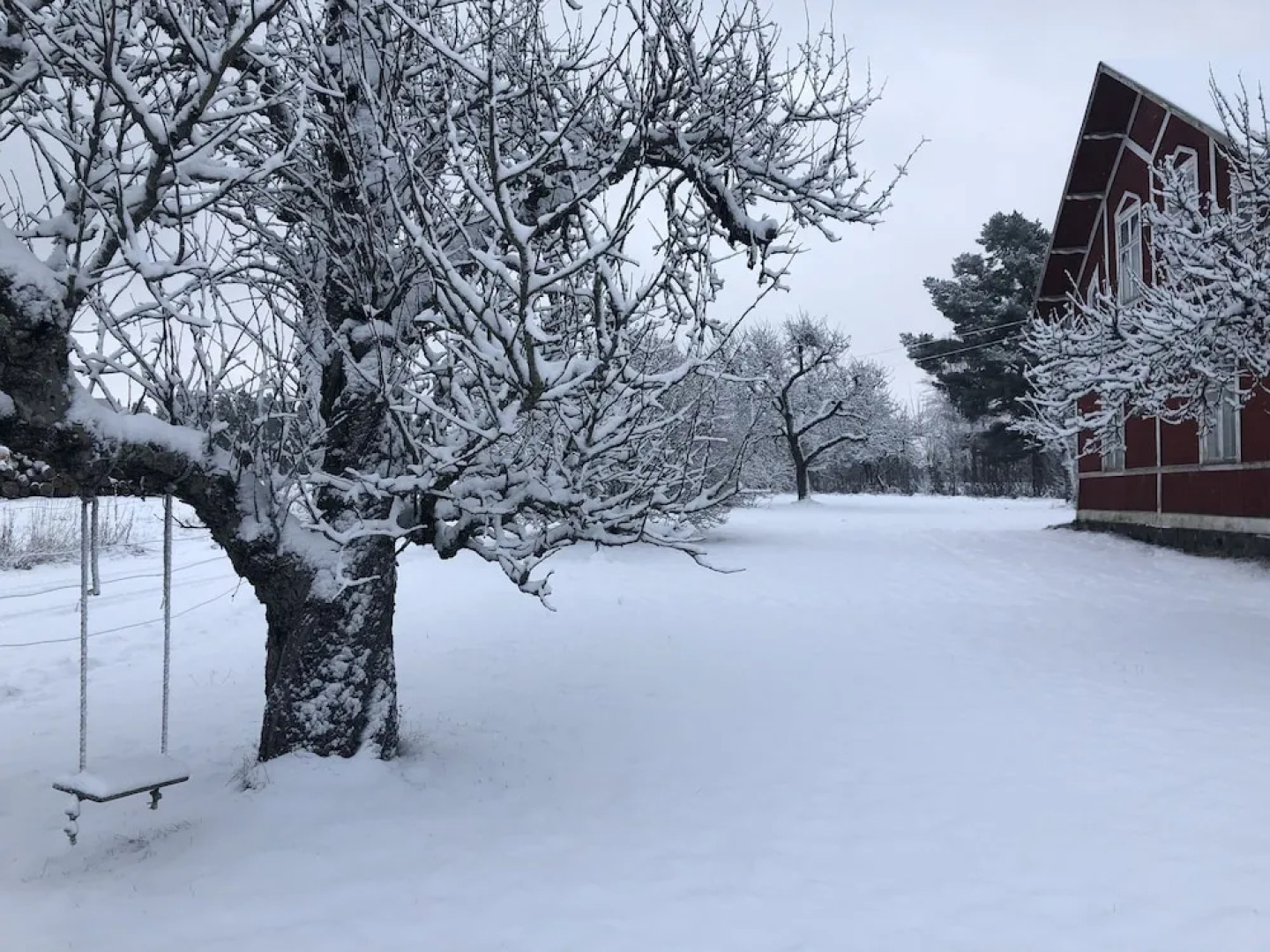 Rondaval/farmhouse breakfast