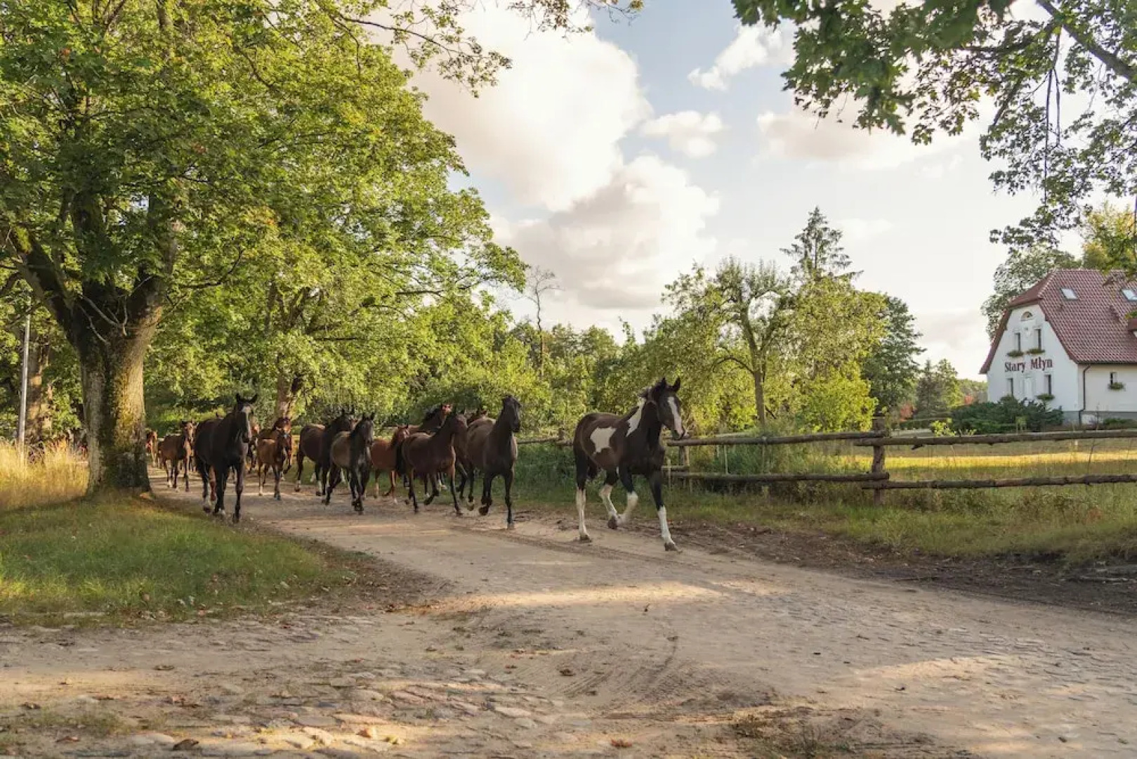 Stary Młyn Strzeszyn