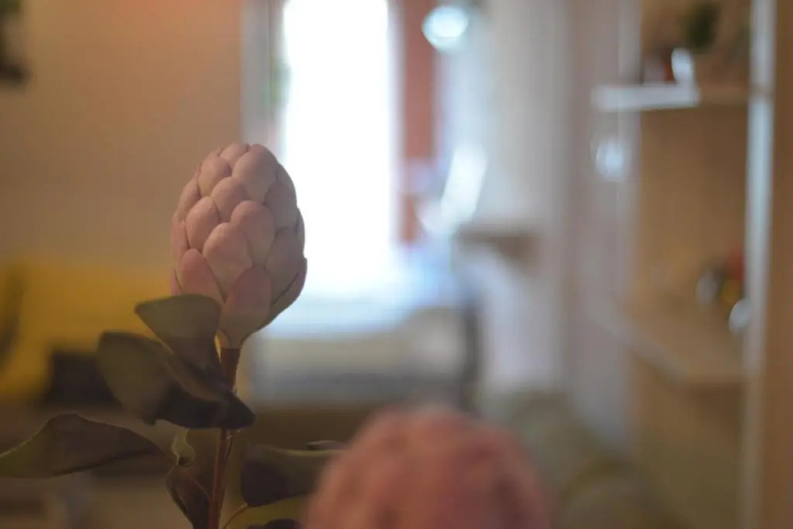 White Arrow Apartment