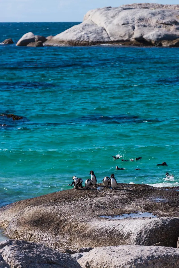 Simon's Town Quayside Hotel