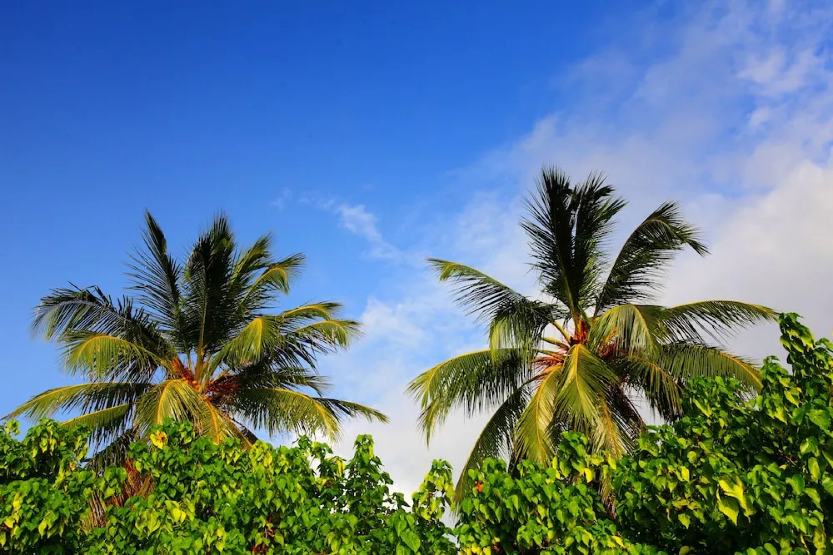 Ocean Villa with pool & spa