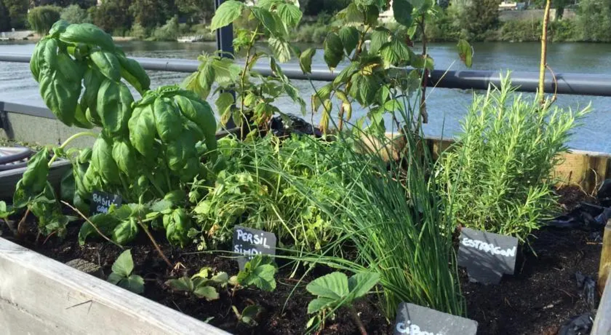 La Proue Péniche Calyx