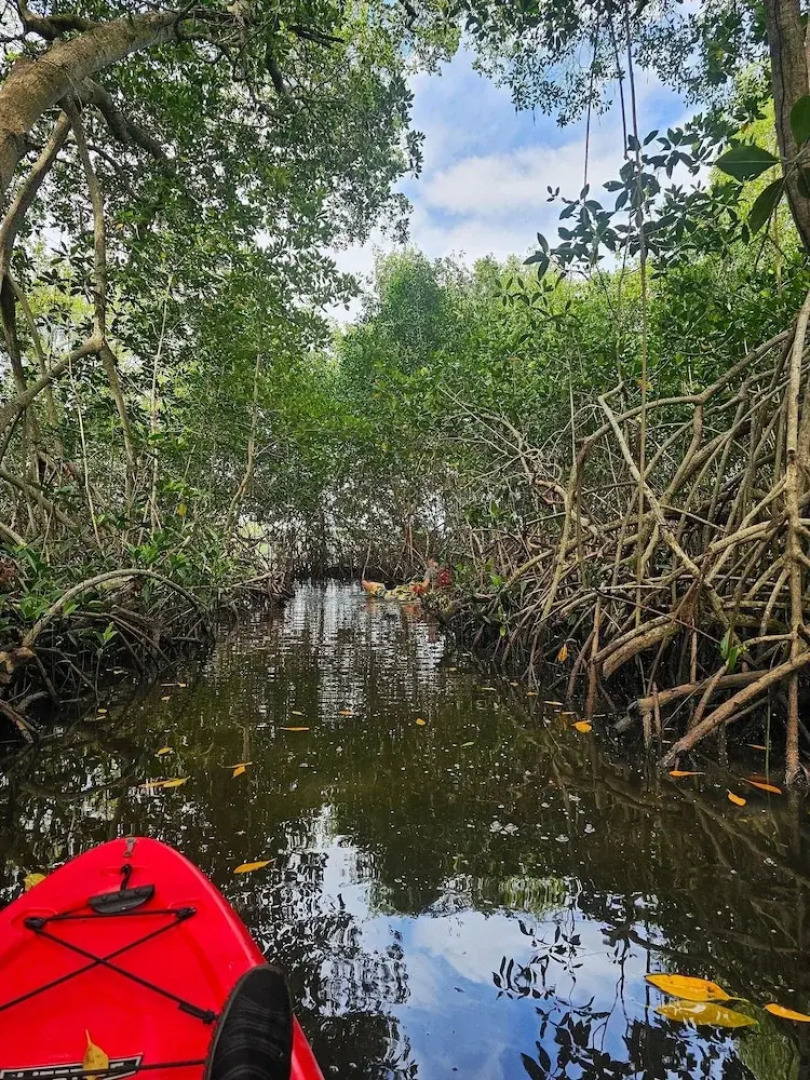 Cabañas Casa de Agua