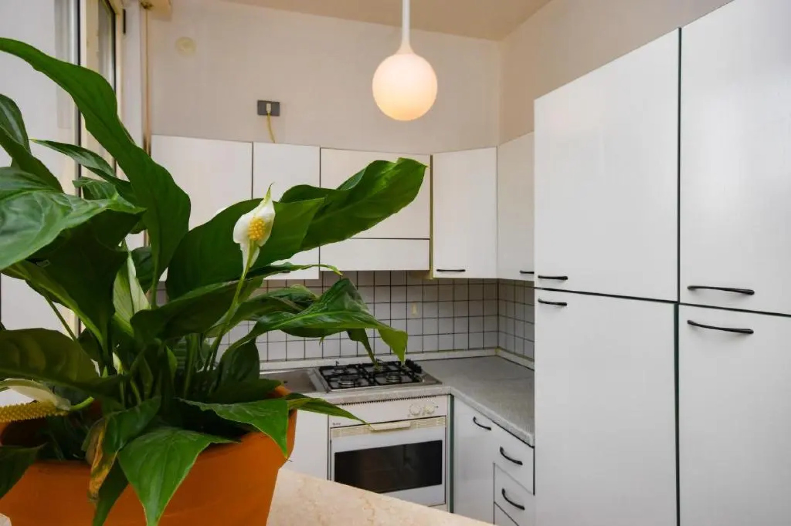 Appartamento Dialma's