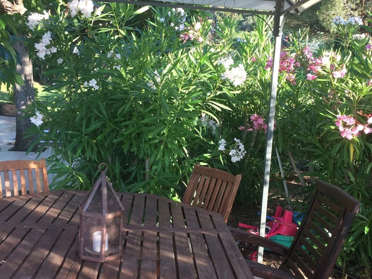 Exceptional Loft IN Porticcio Feet IN THE Water