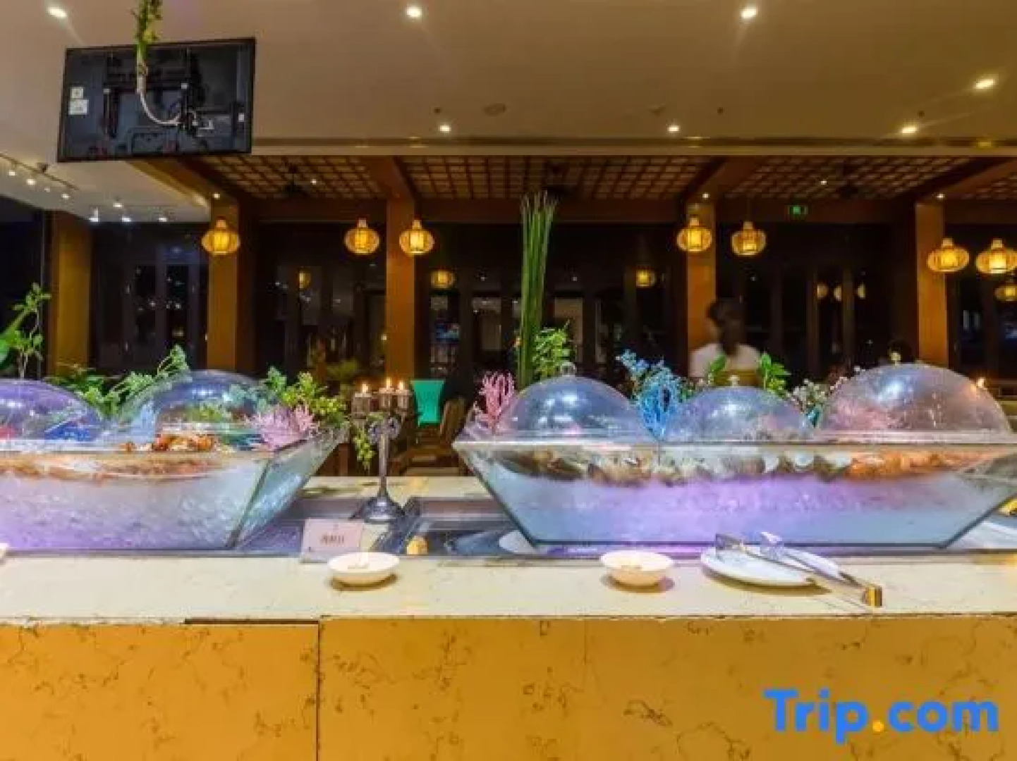 QionghaiBoAoYaZhouWanJiuzhouyang and Scene of Sea Holiday Mansion