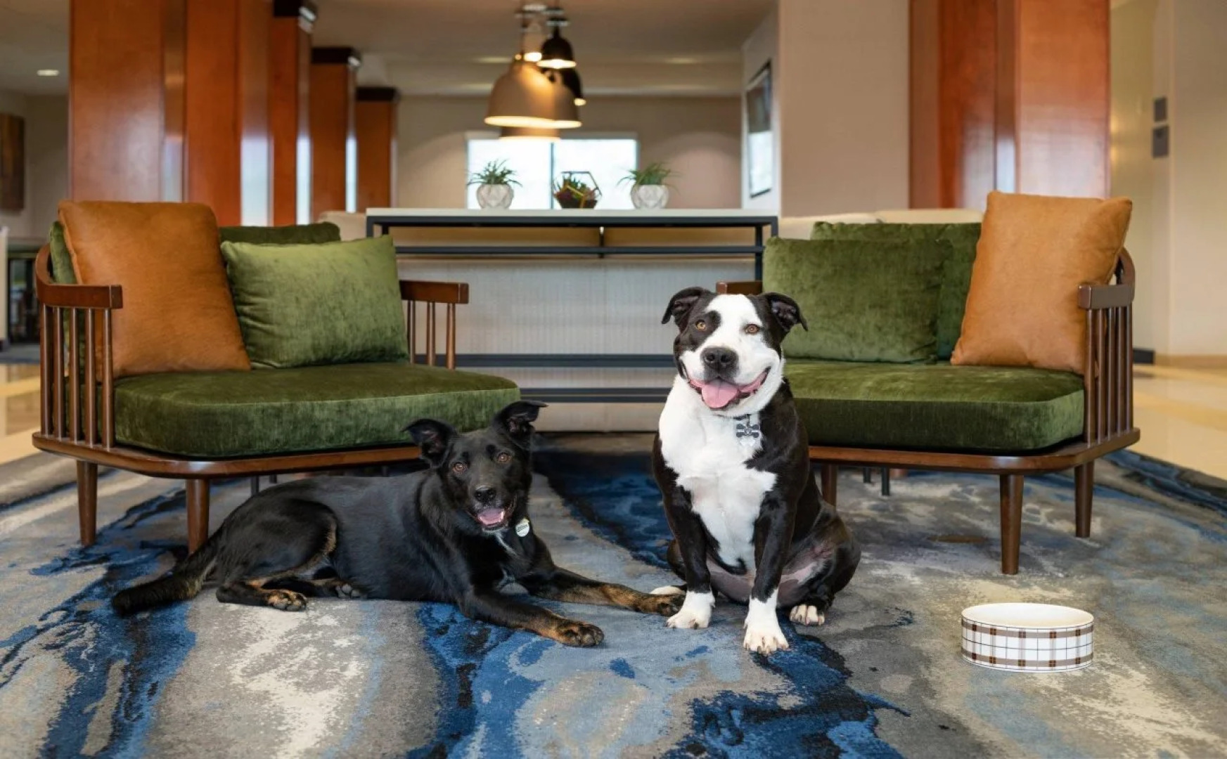 Fairfield Inn & Suites by Marriott Redding