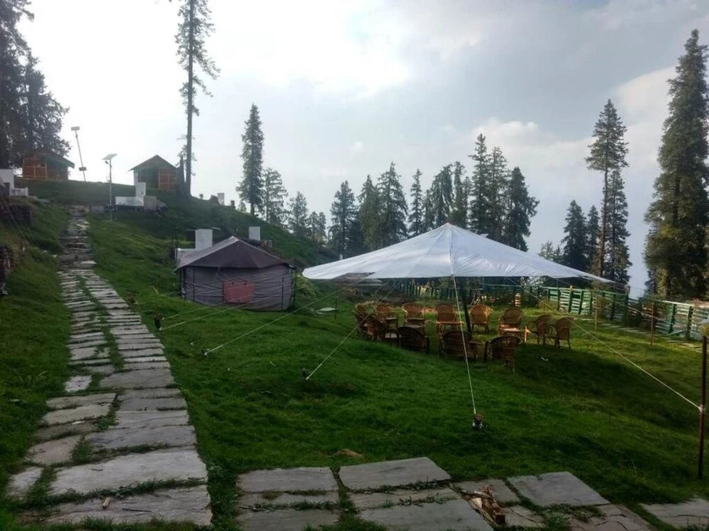 Nature Camp Forest Corporation